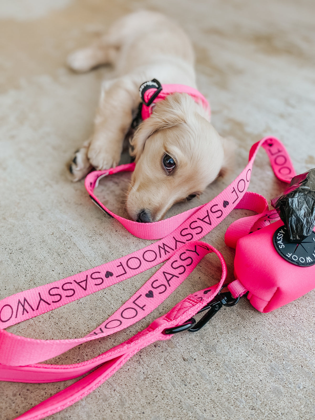 Dog Waste Bag Holder - Neon Pink