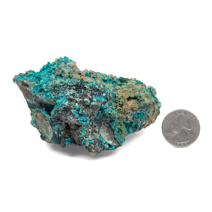 Chrysocolla w/ Quartz