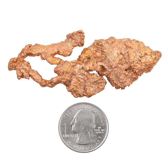Copper - Specimen