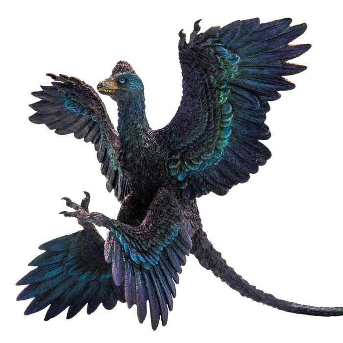 Damaged Box Gaoyuan the Microraptor, PNSO