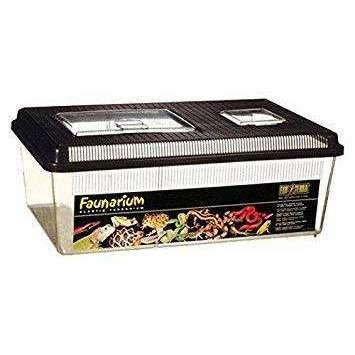 Exo Terra Faunarium Flat Large:Jungle Bob's Reptile World