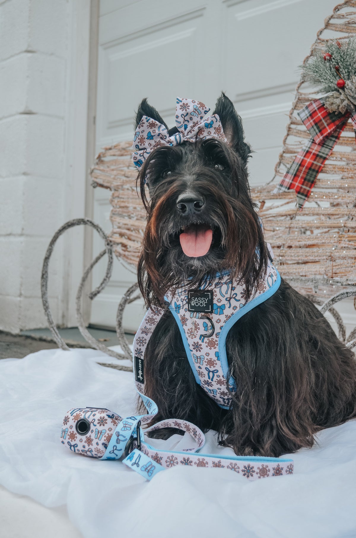 Dog Sailor Bow - Let it Bow