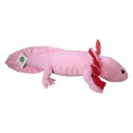 Plush Axolotl Stuffed Toy (Pink):Jungle Bob's Reptile World
