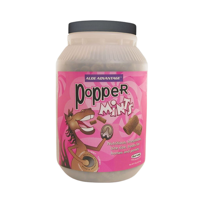 PopperMints Horse Treats - Pittsboro Feed