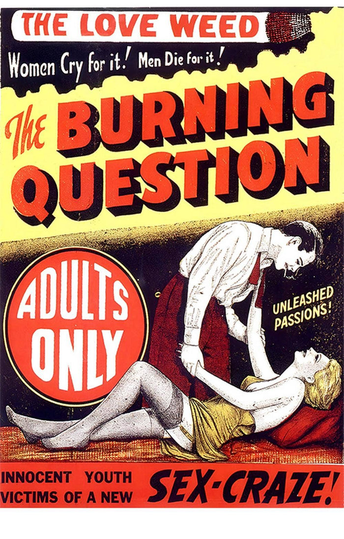PosterSource - Burning Question Movie Poster