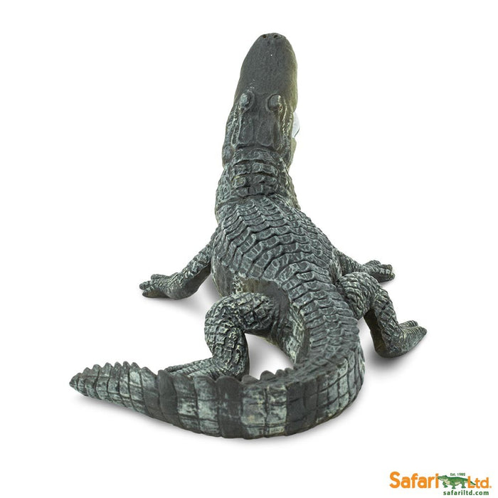 Safari Alligator