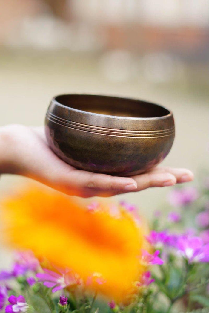 Singing Bowl set of 3 - Himalayas Shop