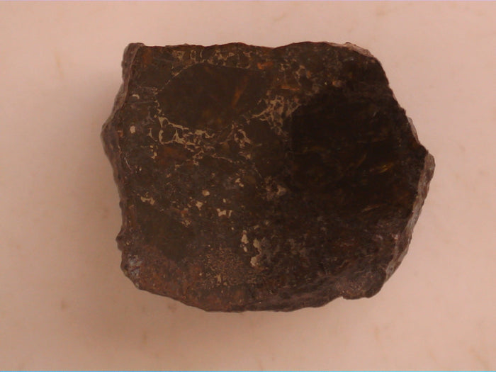 Vaca Muerta Meteorite (Chile) (Mesosiderites)