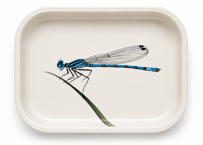 World Buyers - Blue Damselfly Metal Tray - MT103