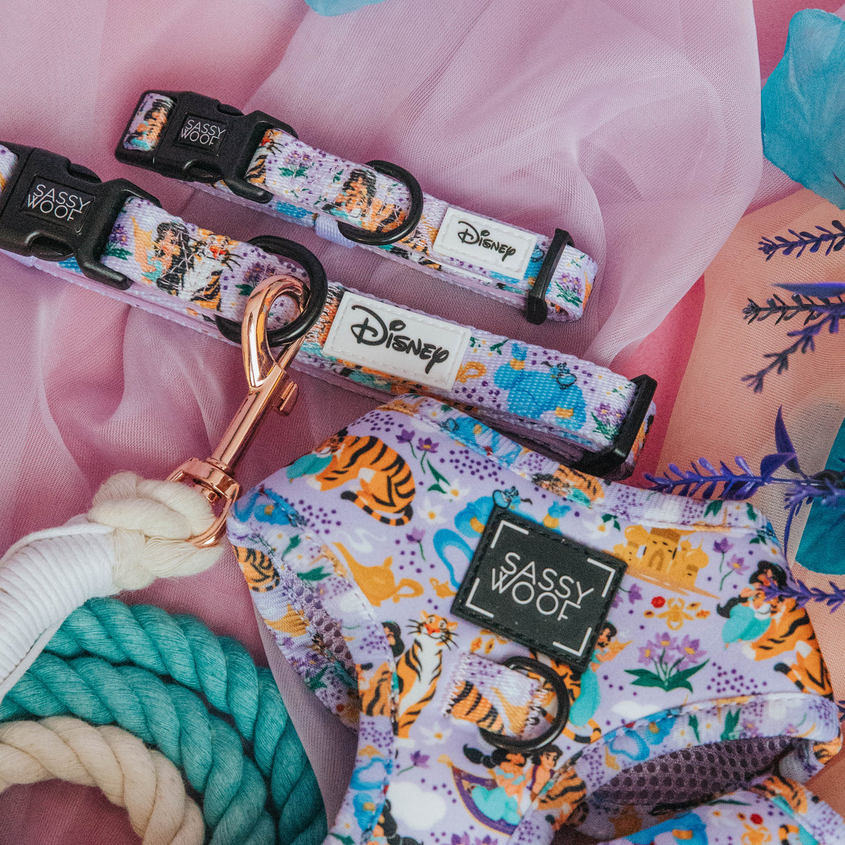 Dog Collar - Disney's Jasmine