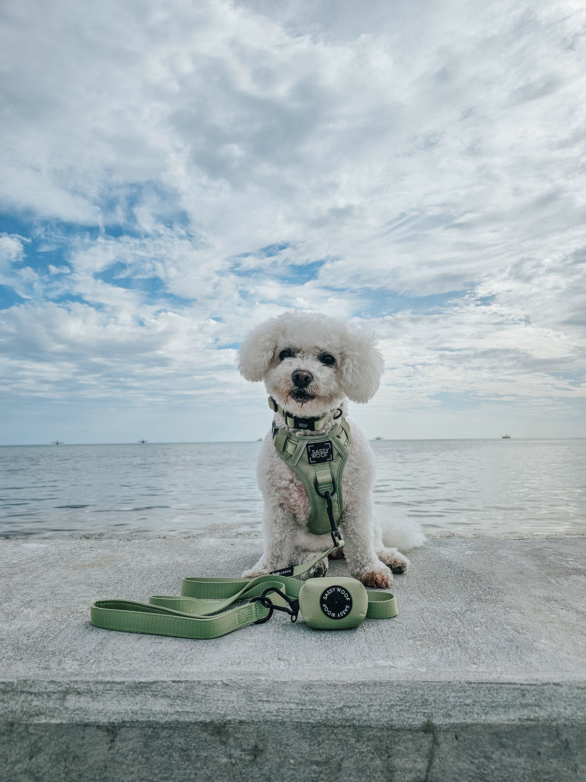 Dog Three Piece Bundle - Matcha
