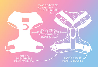 Dog Four Piece Bundle - The Night Life