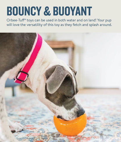 Planet Dog Orbee-Tuff Snoop Treat-Dispensing Dog Toy Orange