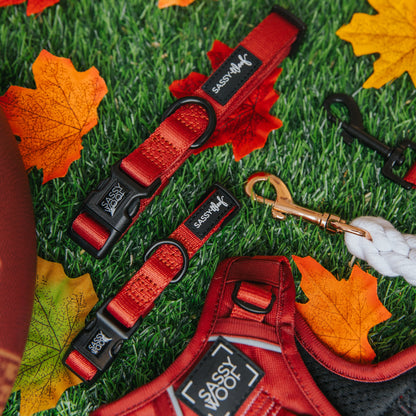 Dog Collar - Burgundy
