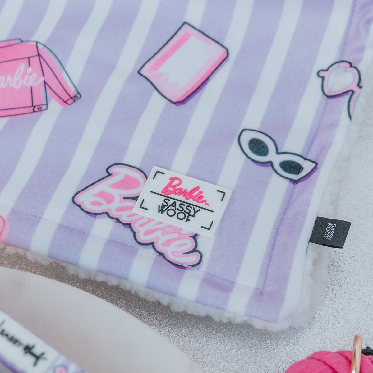 Pet Blanket - BARBIE™ Closet Goals