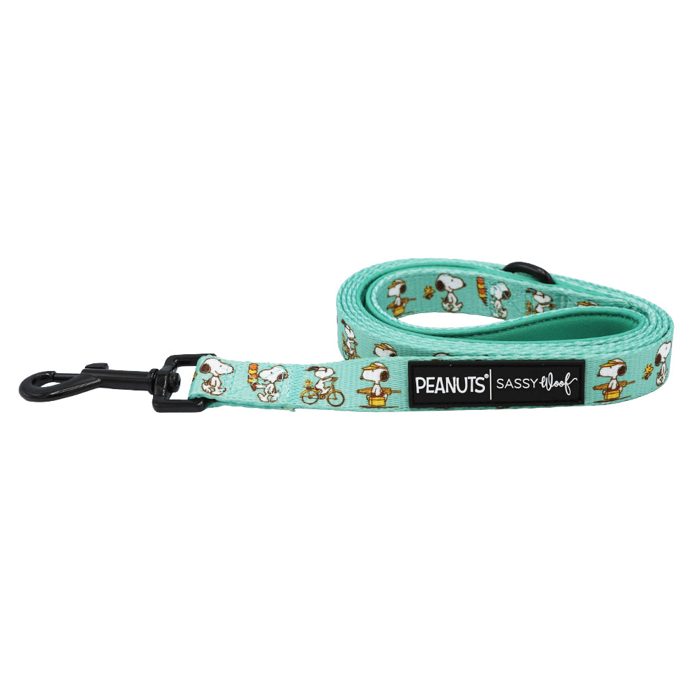 Dog Leash - Peanuts™ Road Tripping