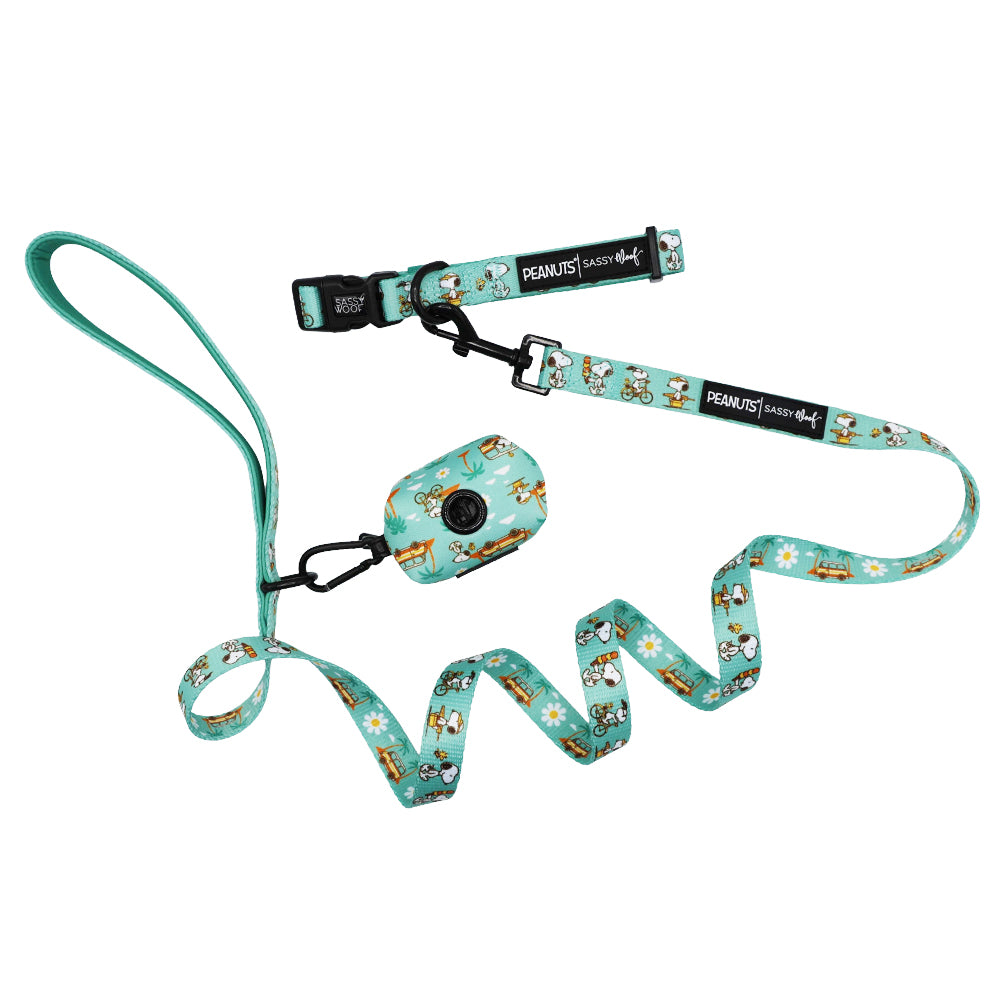 Dog Collar Three Piece Bundle - Peanuts™ Road Tripping