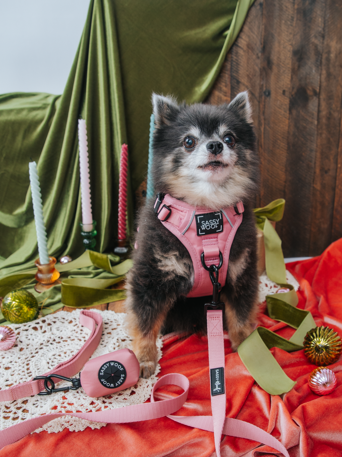 Dog Four Piece Bundle - Dusty Rose