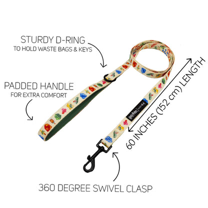 Dog Two Piece Bundle - Harry Potter™ Herbology