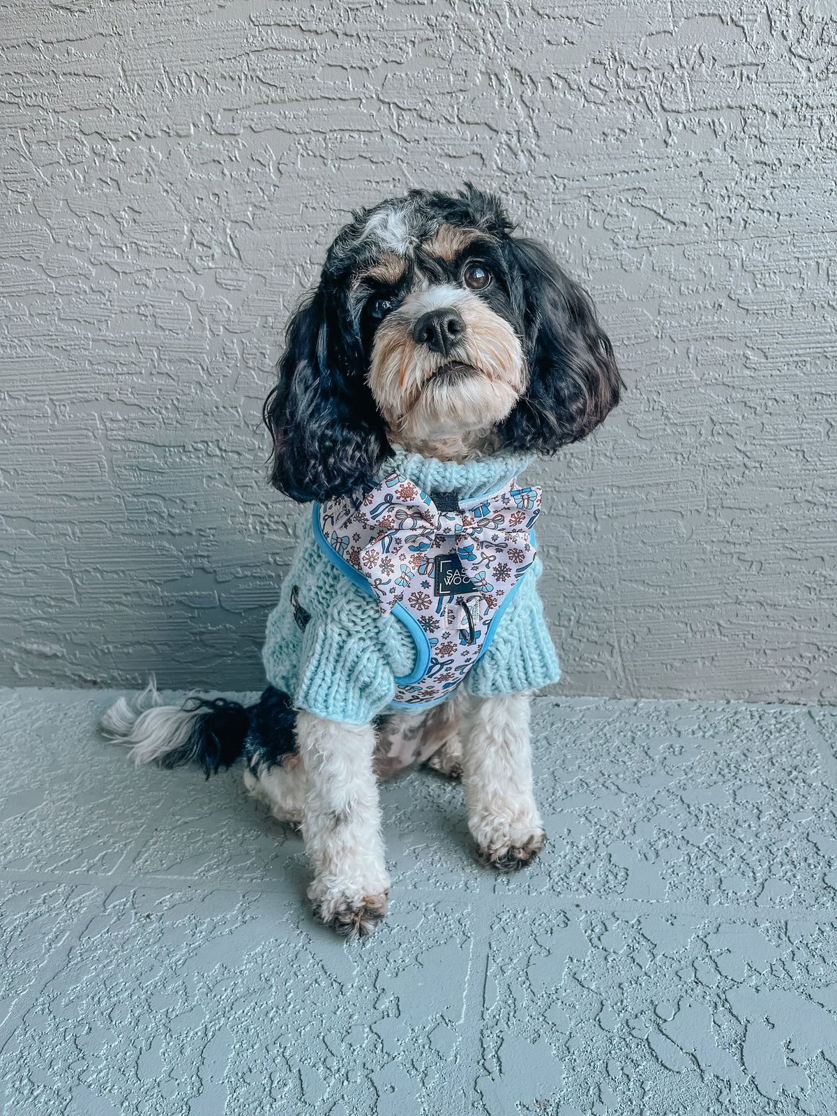 Dog Sailor Bow - Let it Bow