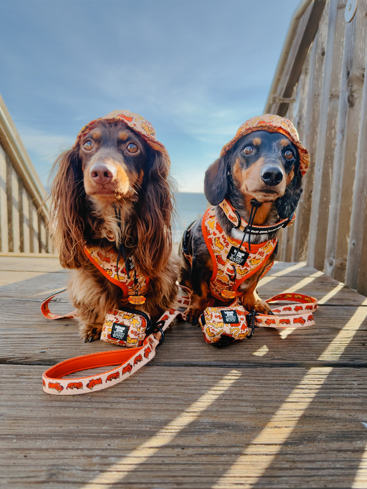 Dog Adjustable Harness - Hot Dawg