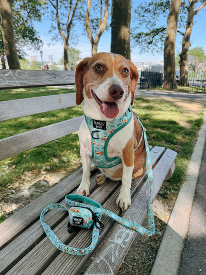 Dog Leash - Peanuts™ Road Tripping