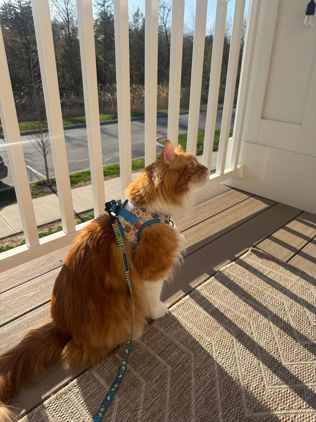 Cat Step-In Harness - Portofino