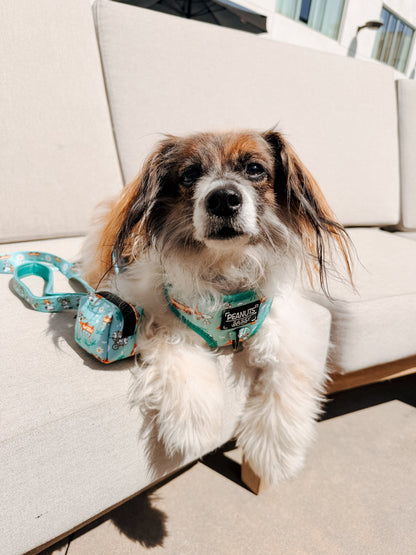 Dog Two Piece Bundle - Peanuts™ Road Tripping