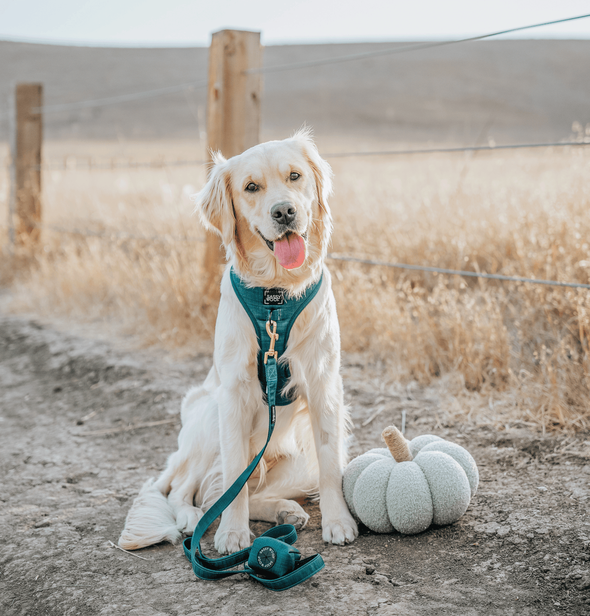Dog Leash - Forest