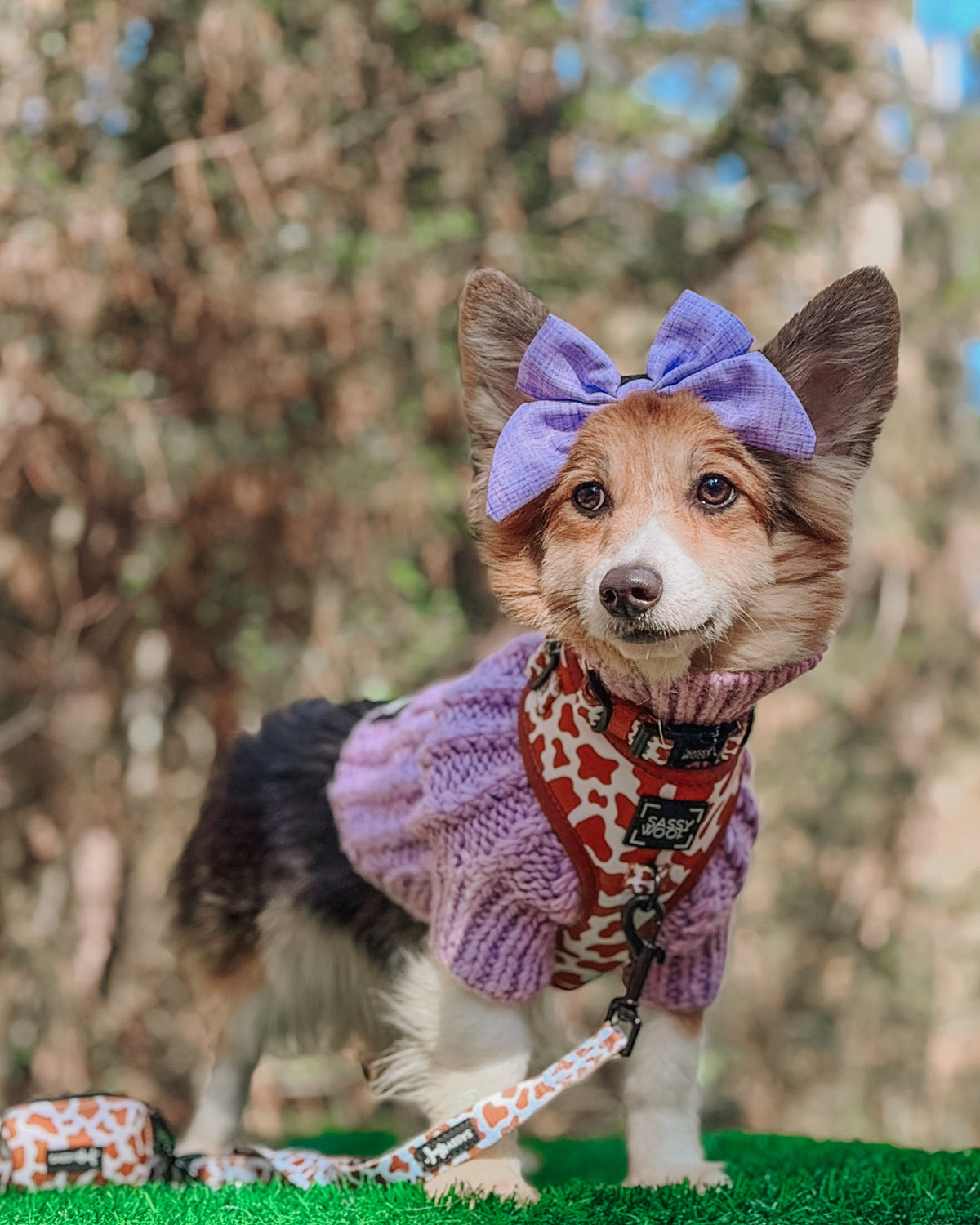 Dog Adjustable Harness - Chocolate Milk