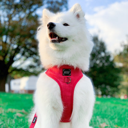 Dog Adjustable Harness - Merlot