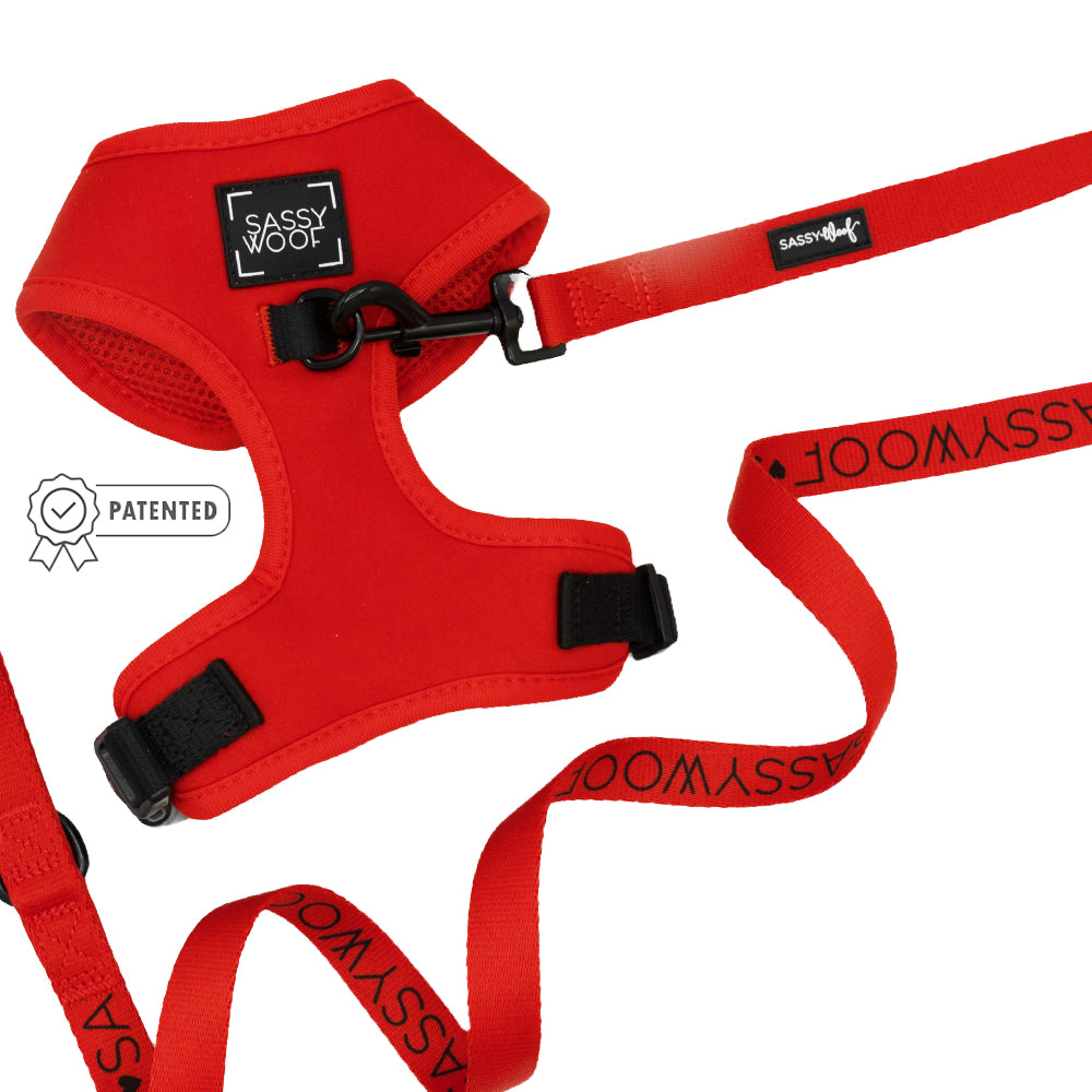 Dog Two Piece Bundle - Neon Red