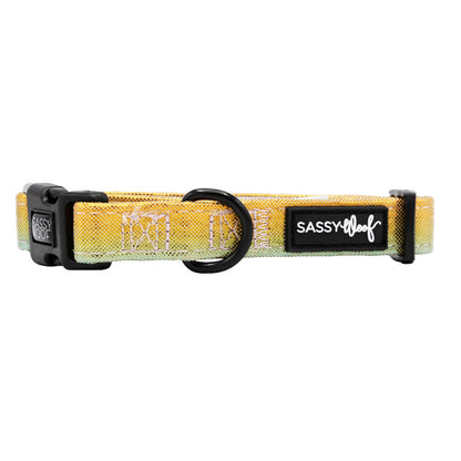 Dog Collar - The Night Life