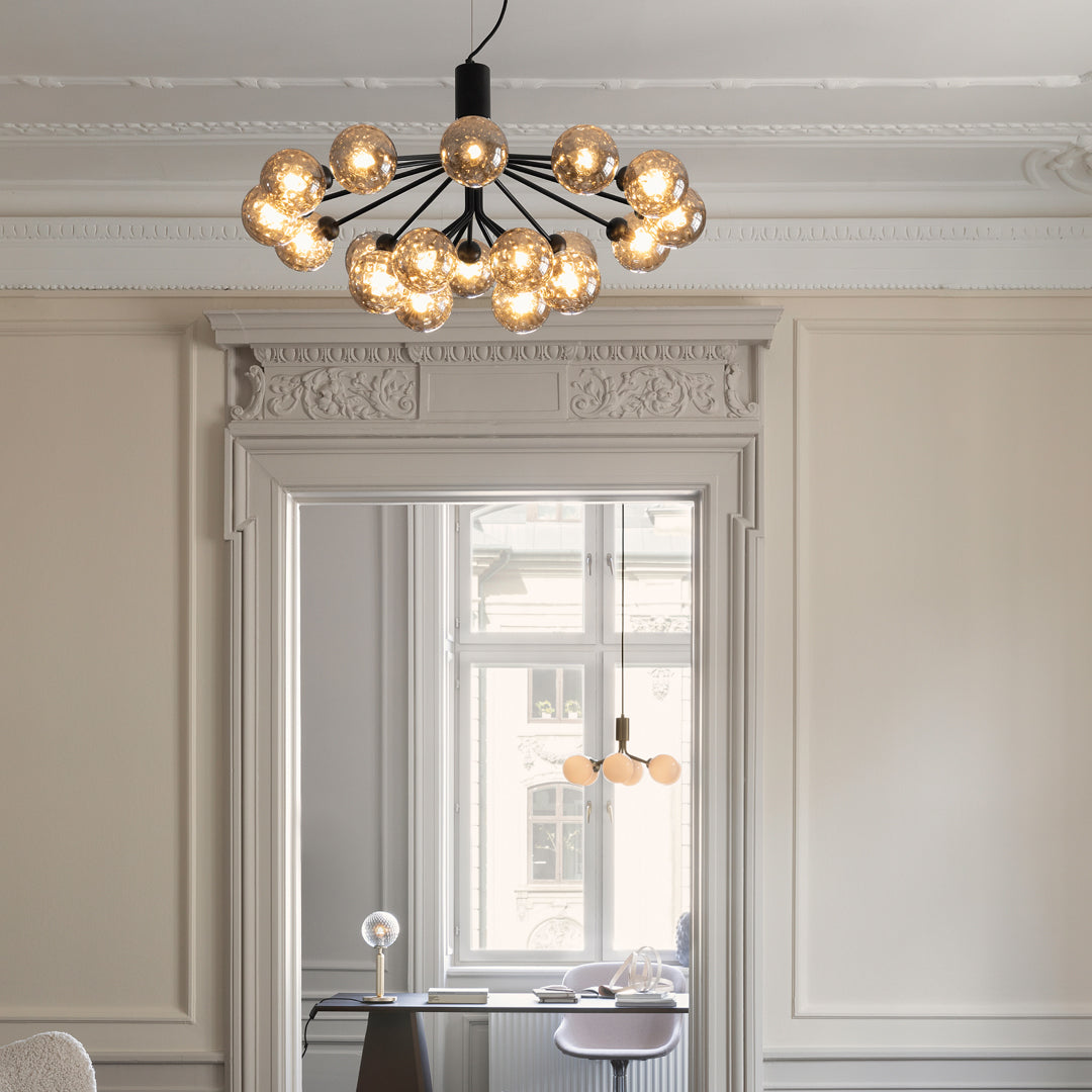 Apiales 18 Chandelier