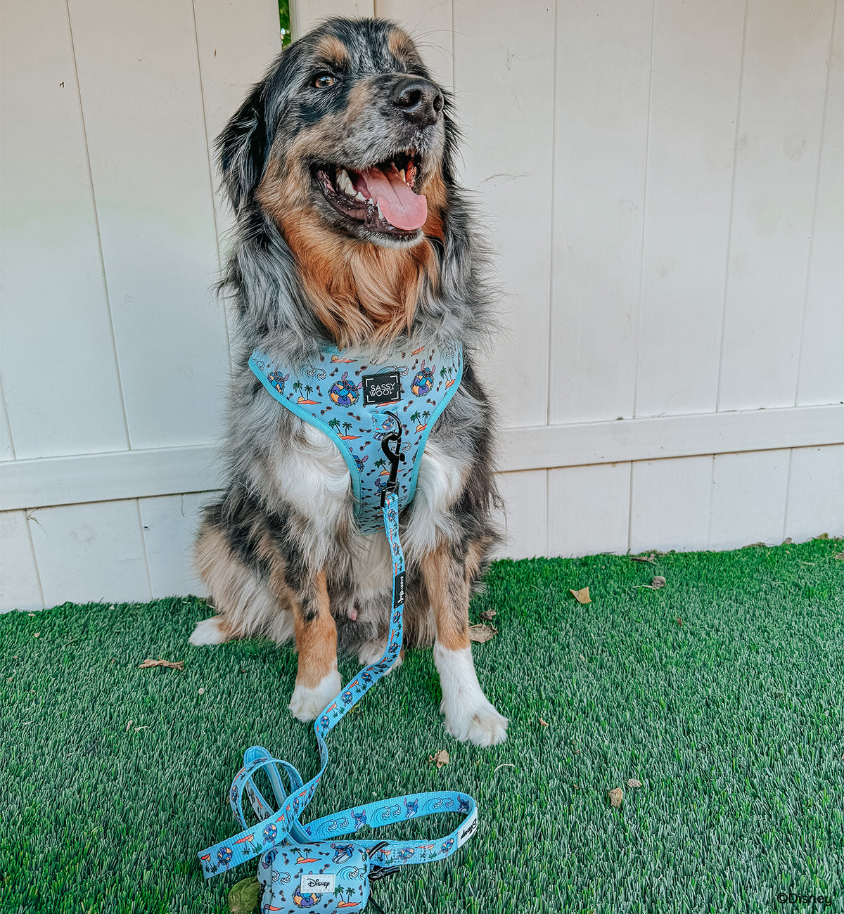Dog Two Piece Bundle -  Disney's Stitch