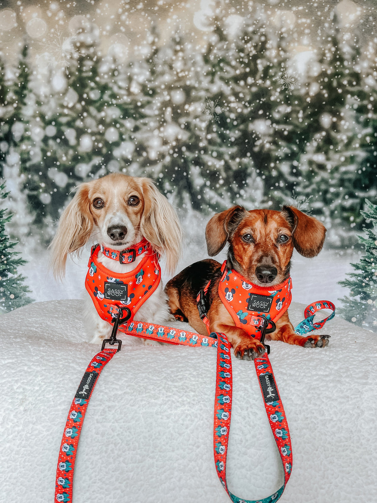 Dog Two Piece Bundle -  Disney Holiday Collection