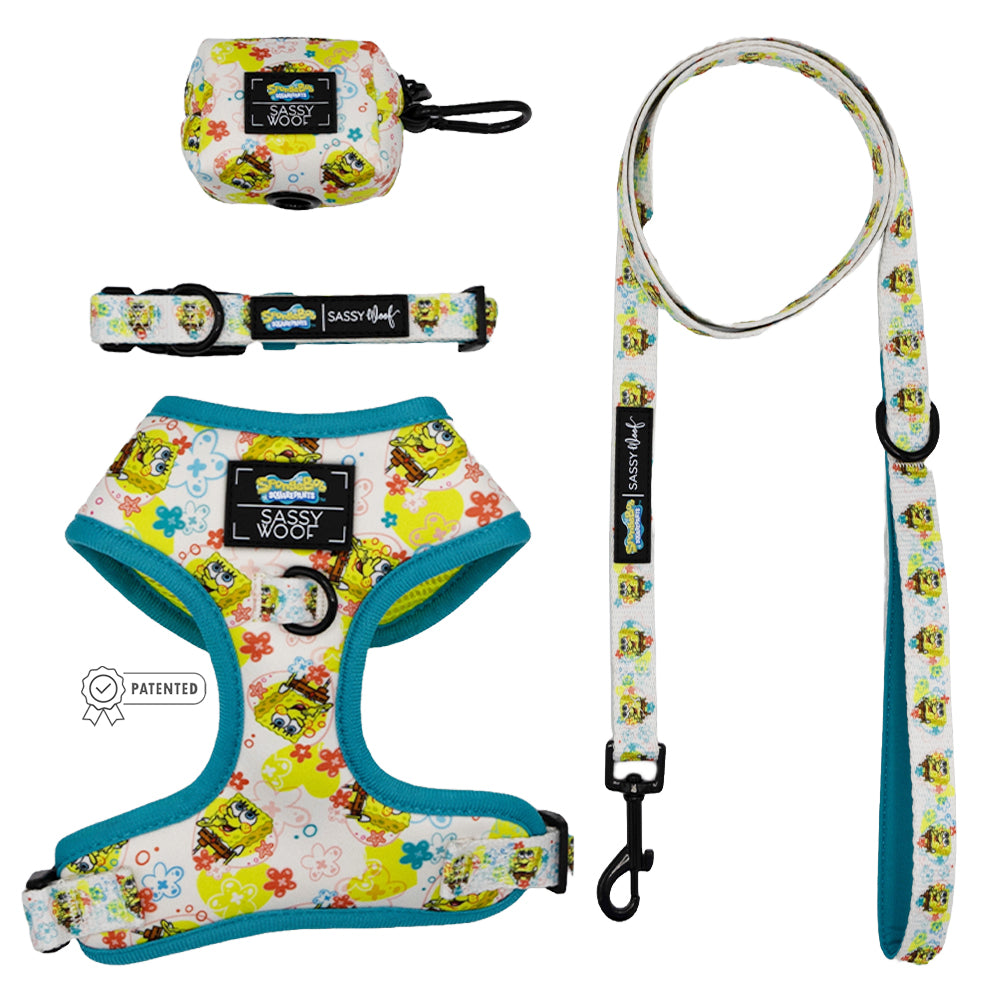 Dog Four Piece Bundle - SpongeBob SquarePants™ Bikini Bottom