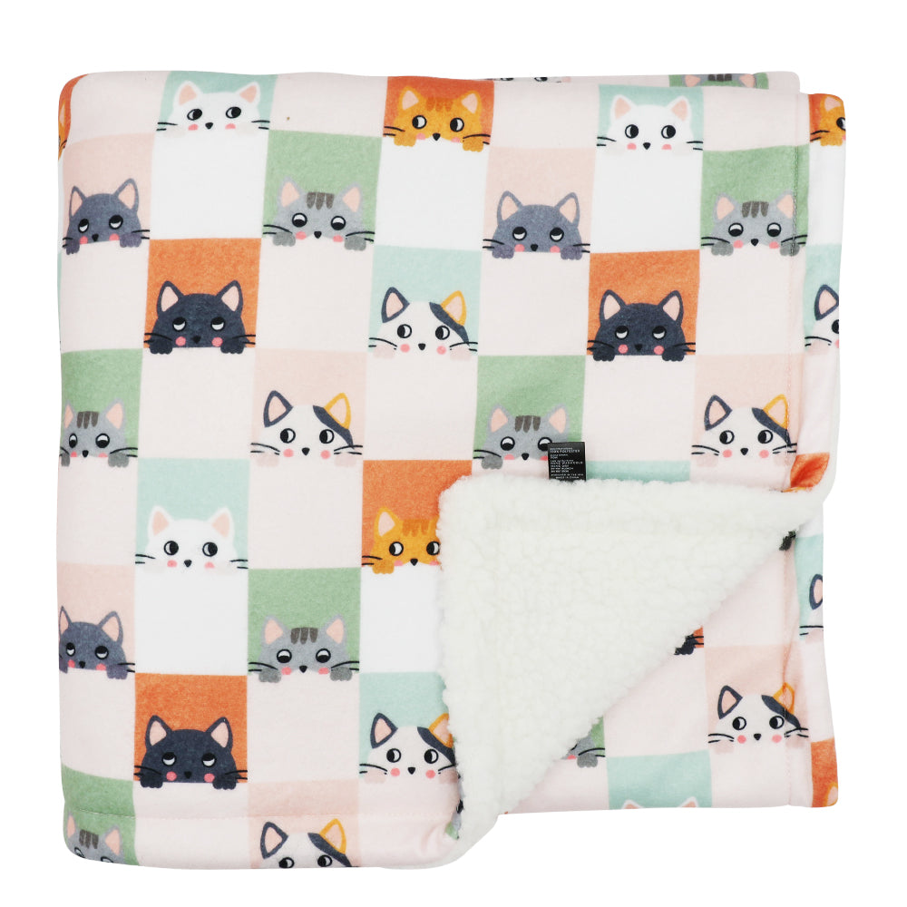 Pet Blanket - Smitten Kittens