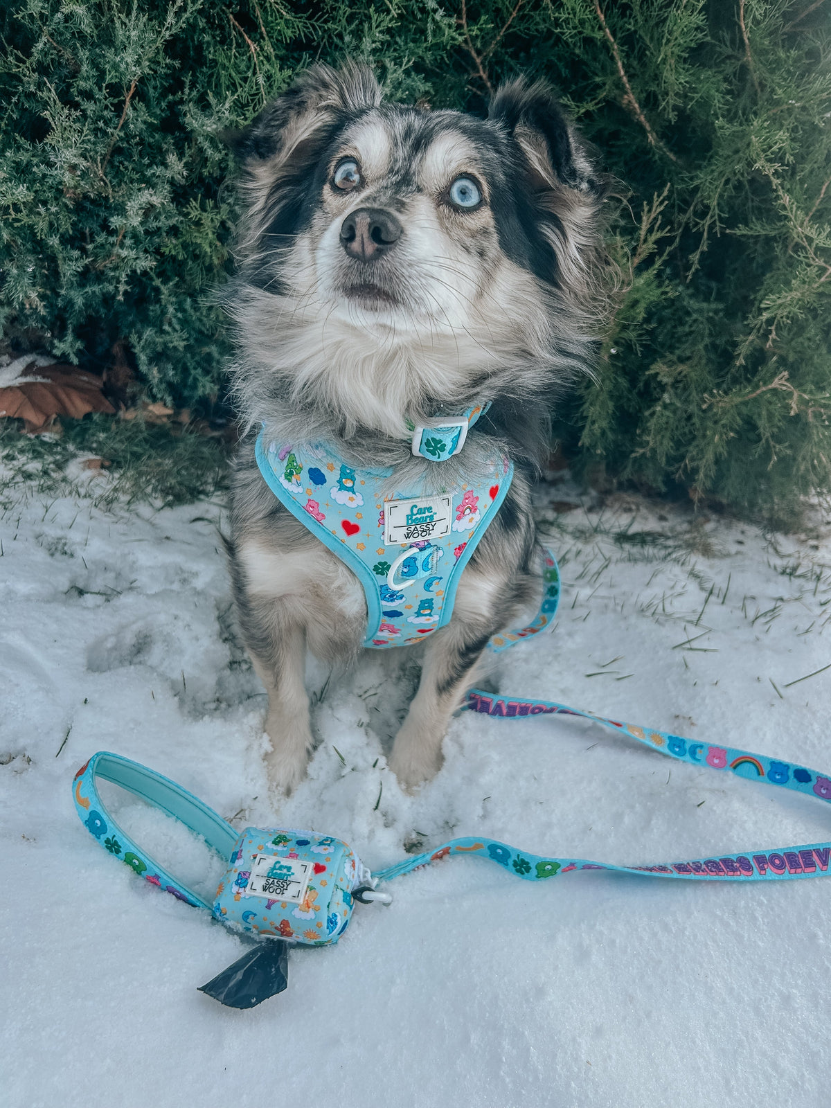 Dog Collar Three Piece Bundle - Care Bears™ Care-a-Lot