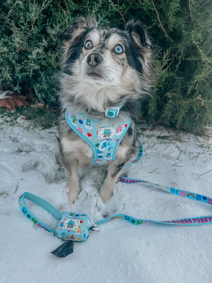 Dog Adjustable Harness - Care Bears™ Care-a-Lot