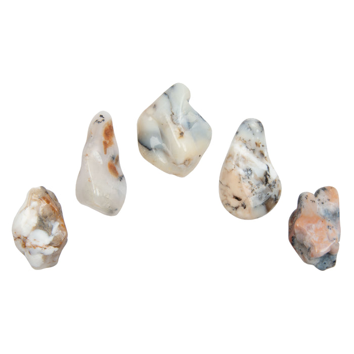 Agate, Dendritic - Tumbled Stone(s)