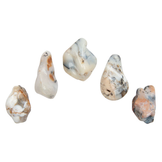 Agate, Dendritic - Tumbled Stone(s)