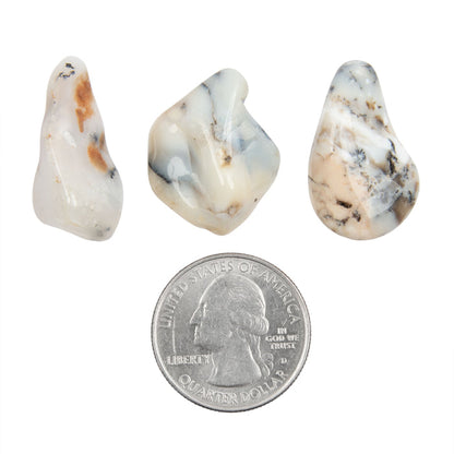 Agate, Dendritic - Tumbled Stone(s)