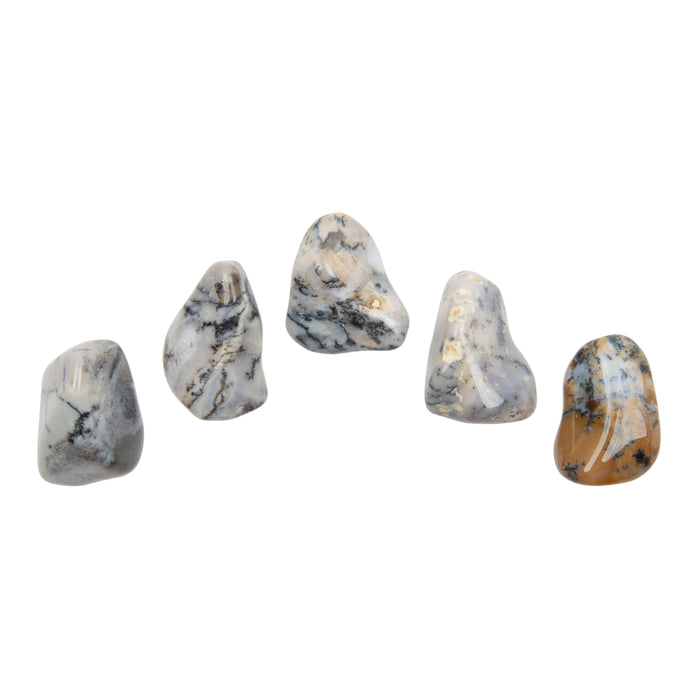 Agate, Dendritic - Tumbled Stone(s)