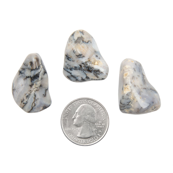 Agate, Dendritic - Tumbled Stone(s)