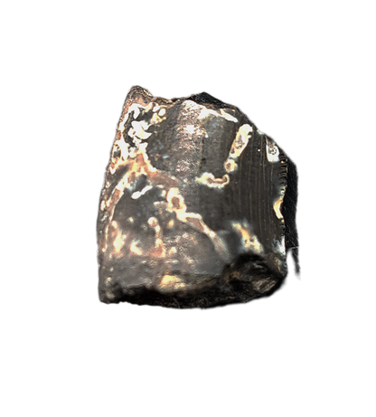 Allosaurus Tooth,  Morrison Formation