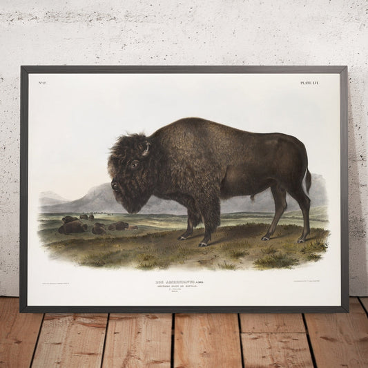 A framed image of
