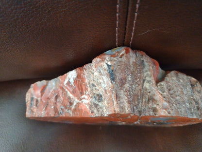 Arizona Rainbow Petrified Wood