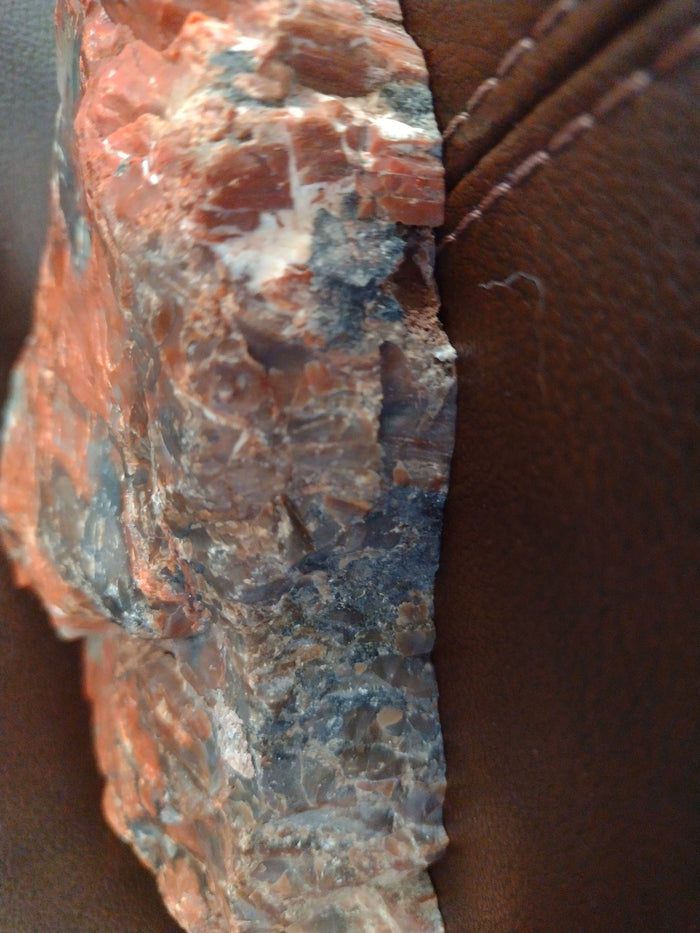 Arizona Rainbow Petrified Wood