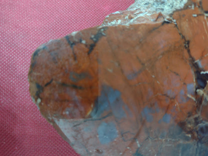 Arizona Rainbow Petrified Wood